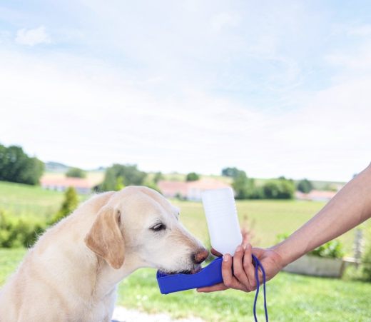 Reisetrinkflasche Hund Katze