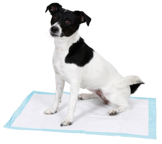 Trainingspad Hund
