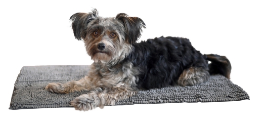 Schmutzfangmatte Hund SuperBed Hundedecke
