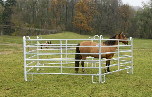 Weidepanel Stahl feuerverzinkt Zaunelememt 3 Meter mit Schnell-Kettenverschluss