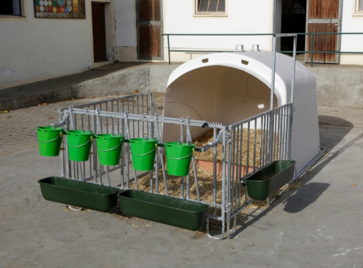 CalfHouse Premium XL mit Umzäunung mit Tränkeeimer+Troghalter