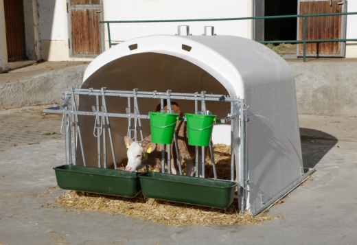 CalfHouse Premium XL mit Umzäunung mit Tränkeeimer+Troghalter