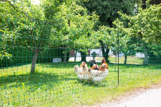 Geflügelnetz nicht elektrifizierbar