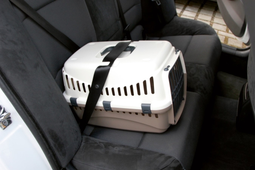 Transportbox Expedion - Hund / Katze / Kleintiere